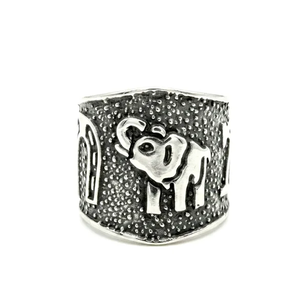 Anillo de la Suerte Ancho Esmaltado