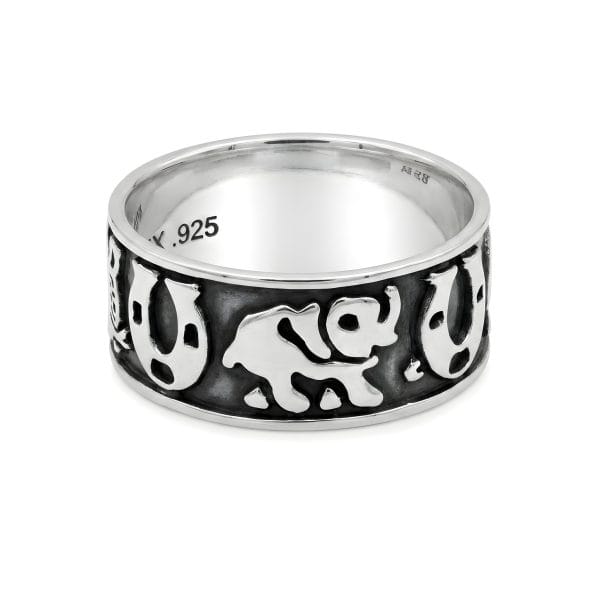 Anillo de la Suerte Delgado Esmaltado