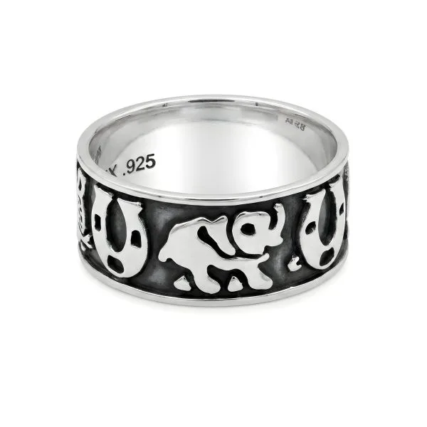 Anillo de la Suerte Delgado Esmaltado
